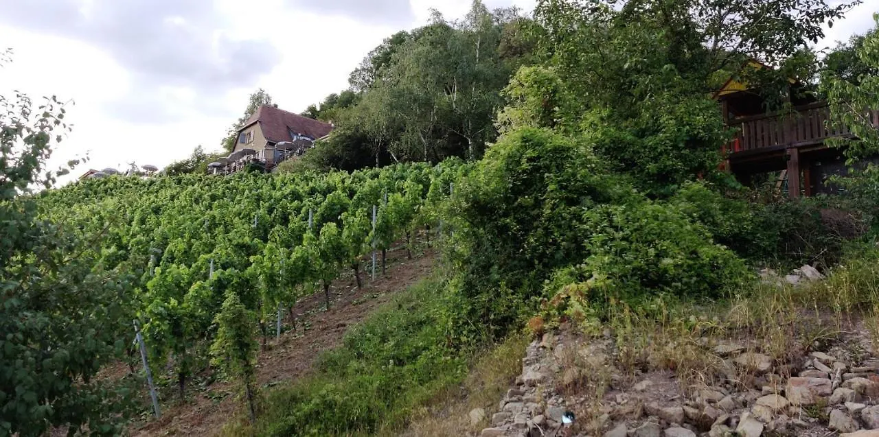 Ferienwohnung Am Hollergraben Oberschwarzach 0*,